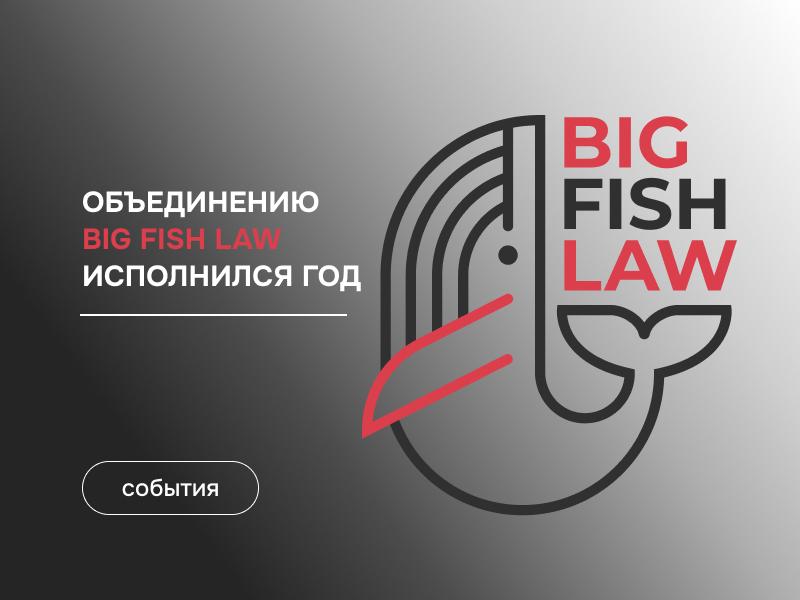 Объединению BigFishLaw исполнился год